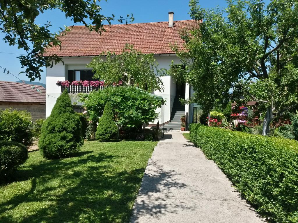 Guesthouse Pavlicic ドレツニック・グラード エクステリア 写真