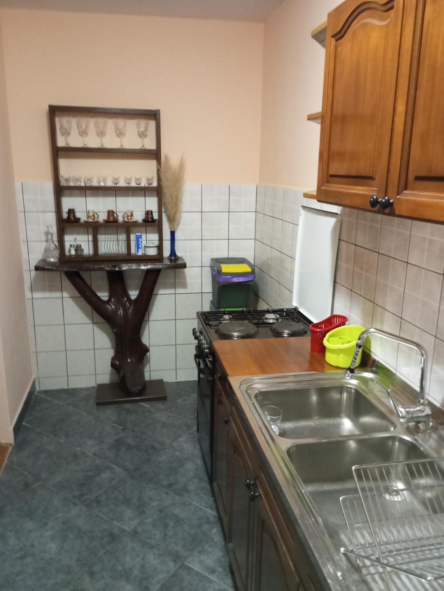 Guesthouse Pavlicic ドレツニック・グラード エクステリア 写真