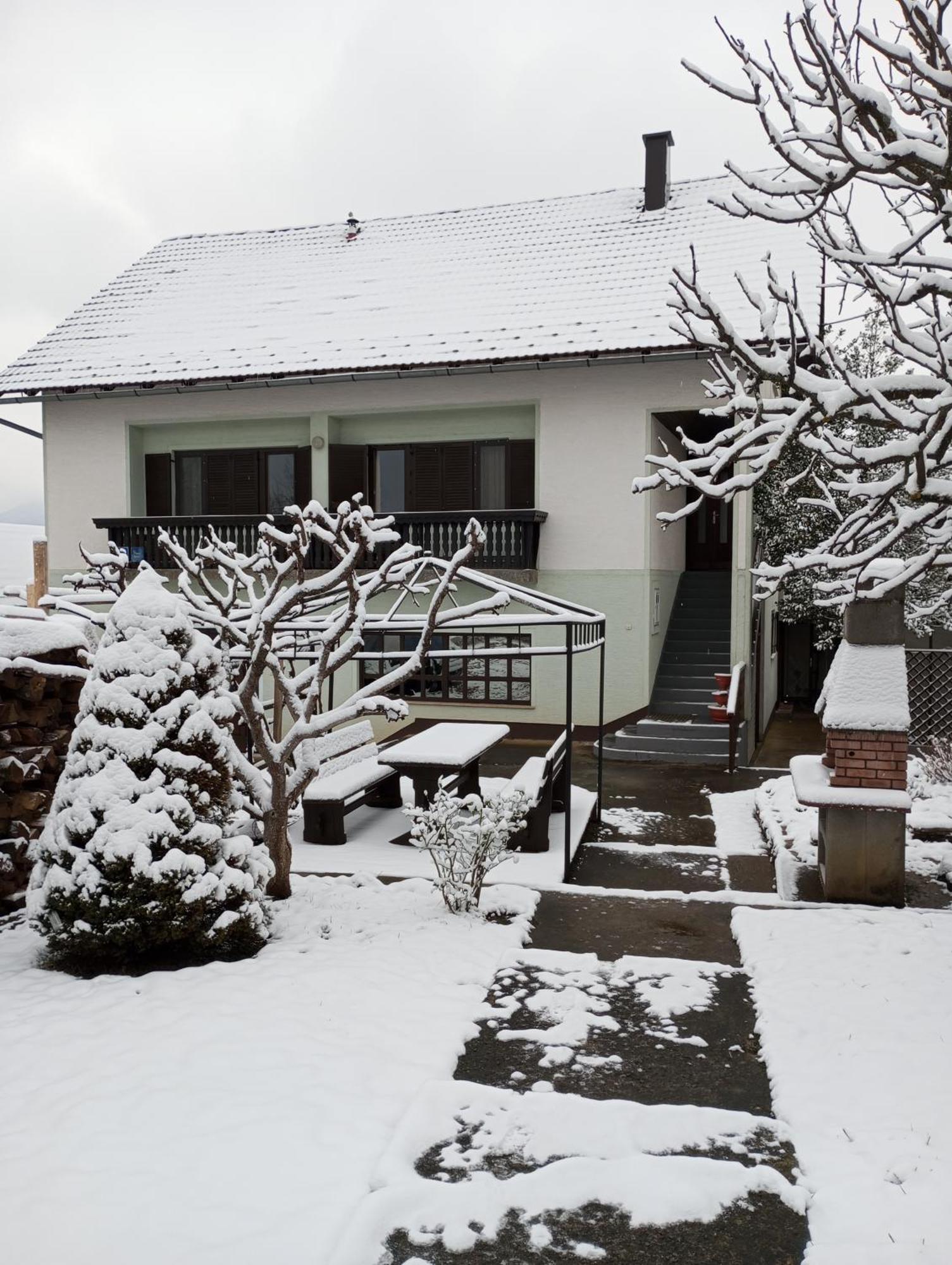 Guesthouse Pavlicic ドレツニック・グラード エクステリア 写真