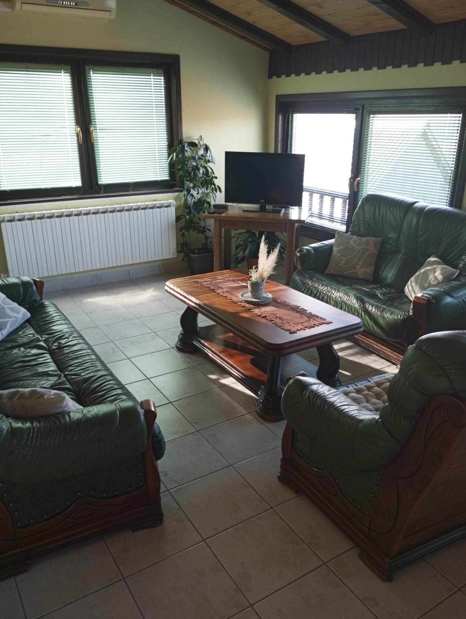 Guesthouse Pavlicic ドレツニック・グラード エクステリア 写真