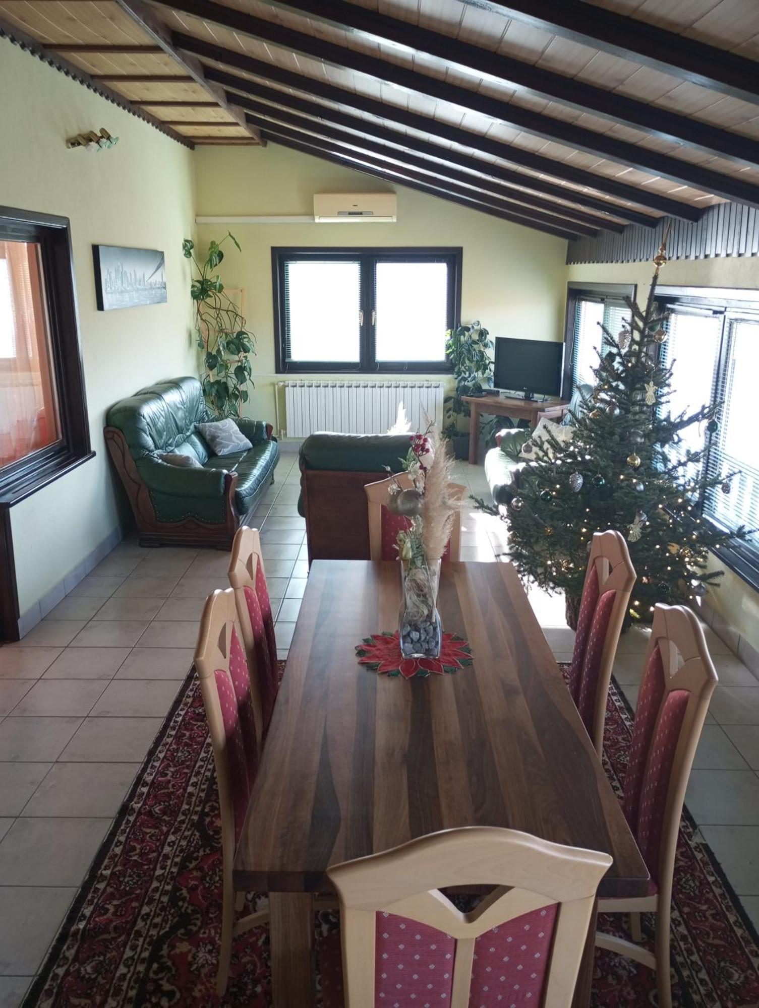 Guesthouse Pavlicic ドレツニック・グラード エクステリア 写真