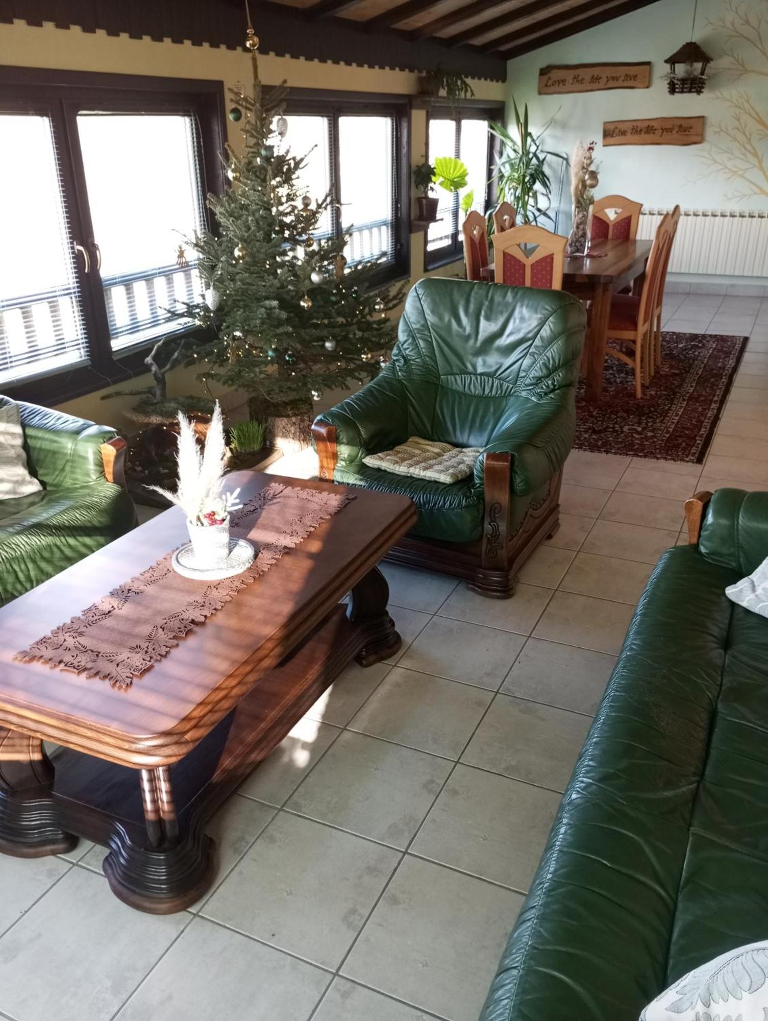 Guesthouse Pavlicic ドレツニック・グラード エクステリア 写真