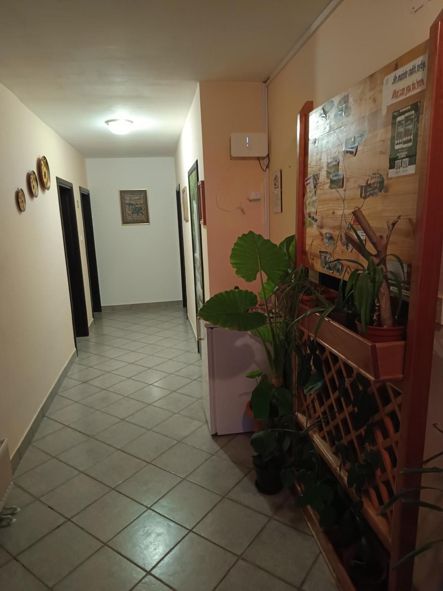 Guesthouse Pavlicic ドレツニック・グラード エクステリア 写真