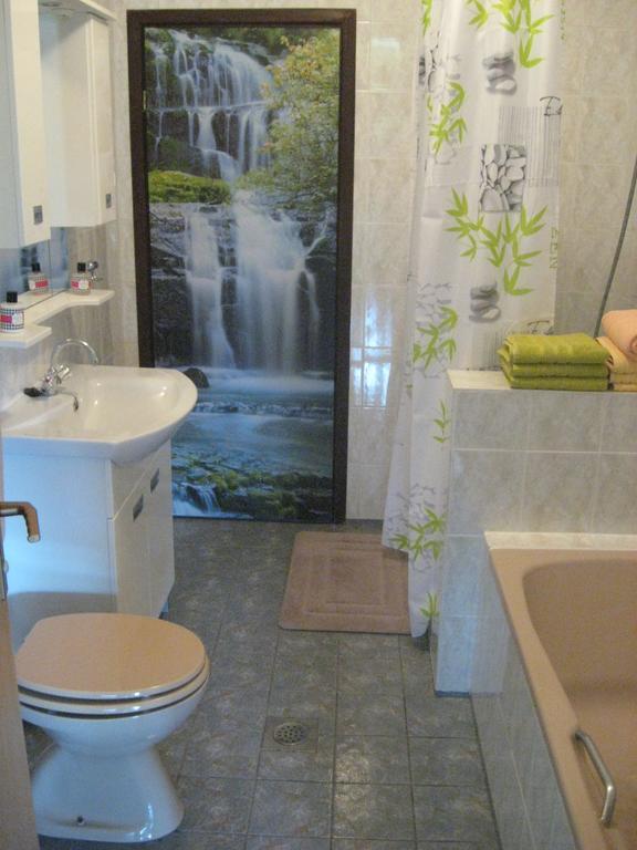 Guesthouse Pavlicic ドレツニック・グラード エクステリア 写真