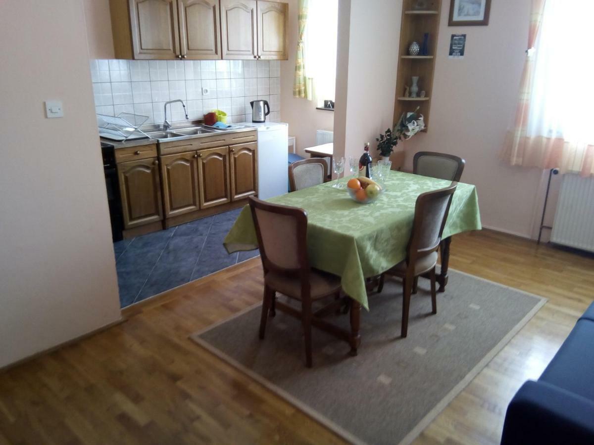 Guesthouse Pavlicic ドレツニック・グラード エクステリア 写真