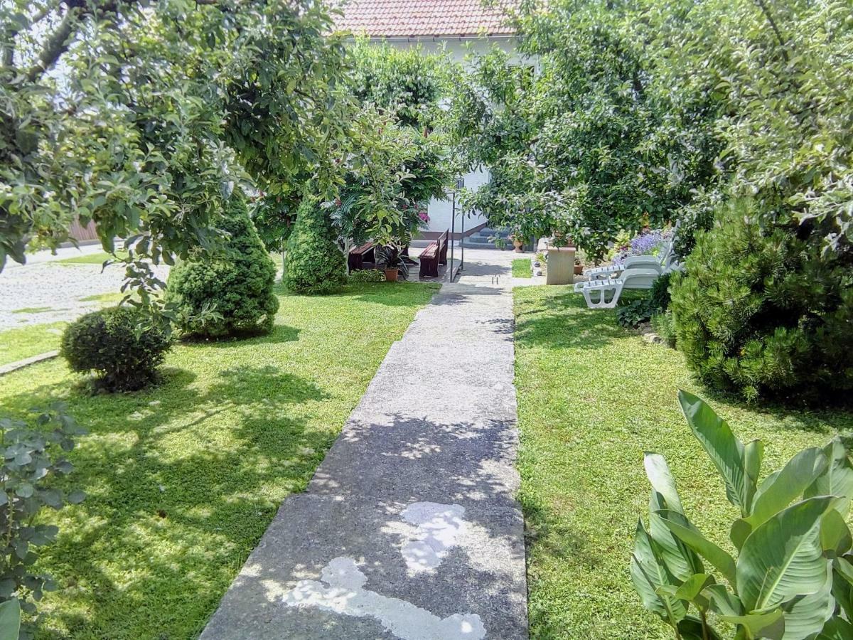 Guesthouse Pavlicic ドレツニック・グラード エクステリア 写真