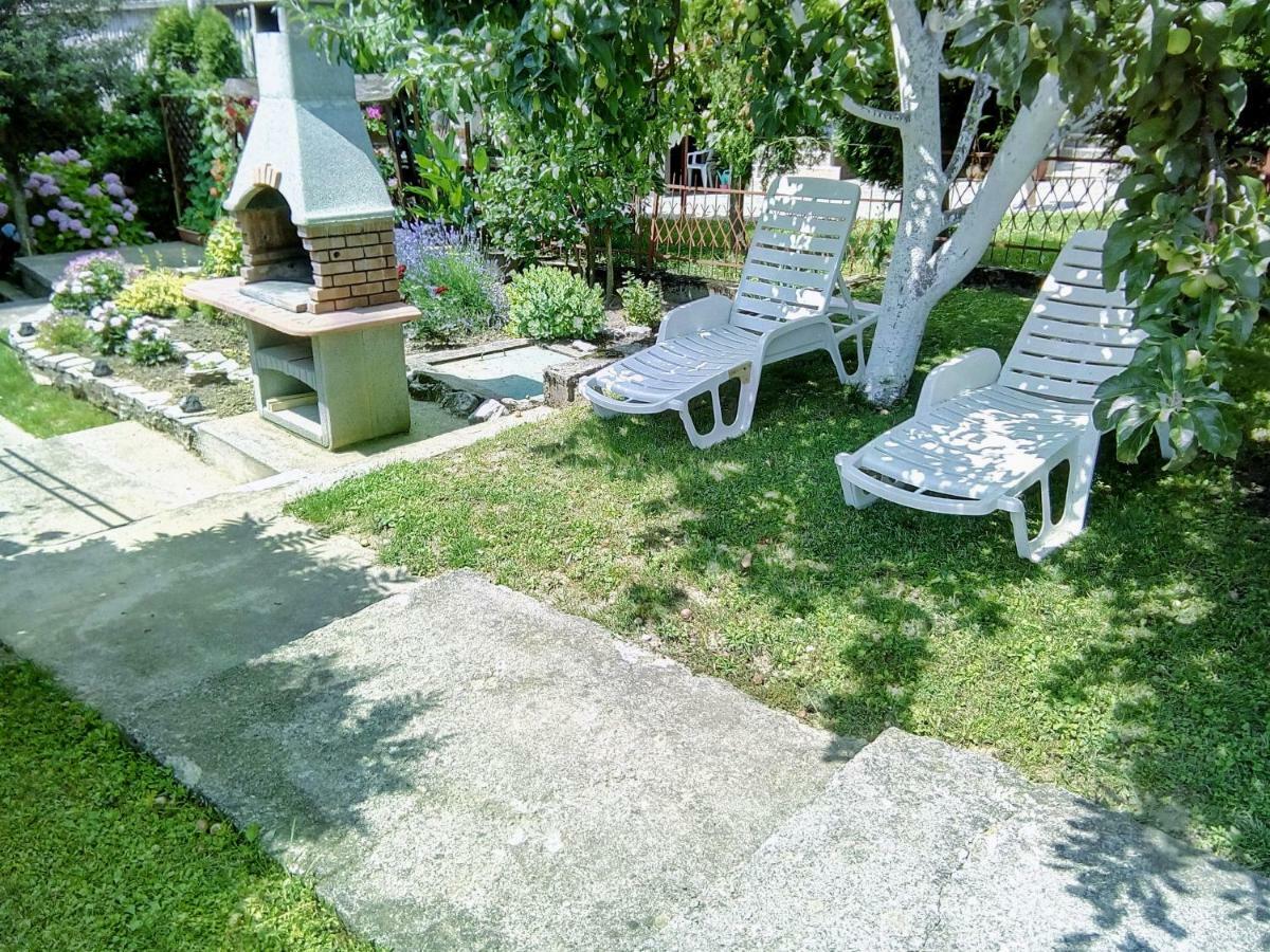 Guesthouse Pavlicic ドレツニック・グラード エクステリア 写真
