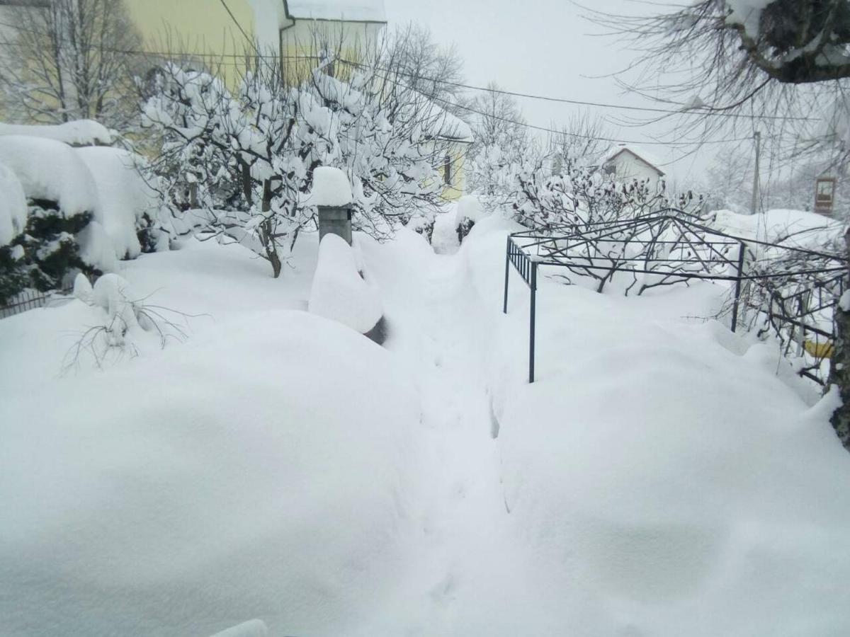Guesthouse Pavlicic ドレツニック・グラード エクステリア 写真
